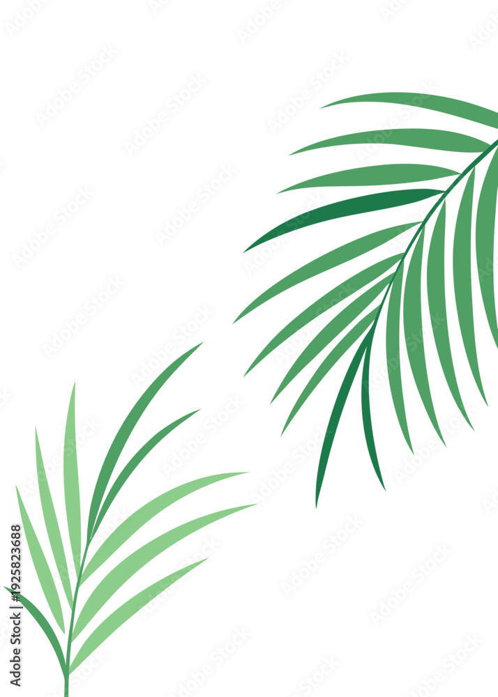 Obraz premium Minimalist green palm leaves illustration, vector