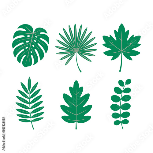 Set of six tropical and common leaf silhouettes with light green accents