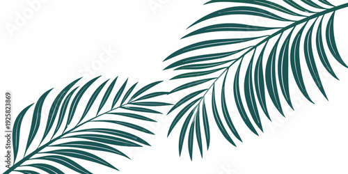 Minimalist dark green tropical palm leaves illustration, vector