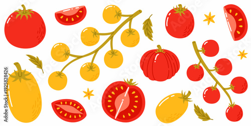 Juicy red and yellow tomatoes. Different types of tomatoes.