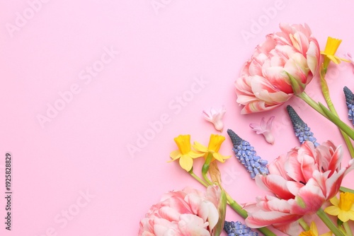 Beautiful spring flowers on pink background, flat lay. Space for text