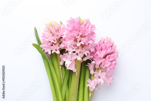 Wallpaper Mural Beautiful hyacinth flowers on white background, flat lay Torontodigital.ca
