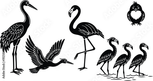 Minimalist vector silhouette of crane heron and flamingo group with flying heron close up standing poses in shallow water monochrome