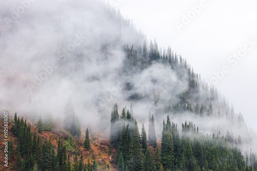 foggy mountains