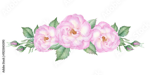 Wallpaper Mural A composition of three delicate pink roses and graceful green leaves on a white background. This hand drawn watercolor illustration for wedding decorations, stationery, packaging and invitations. Torontodigital.ca