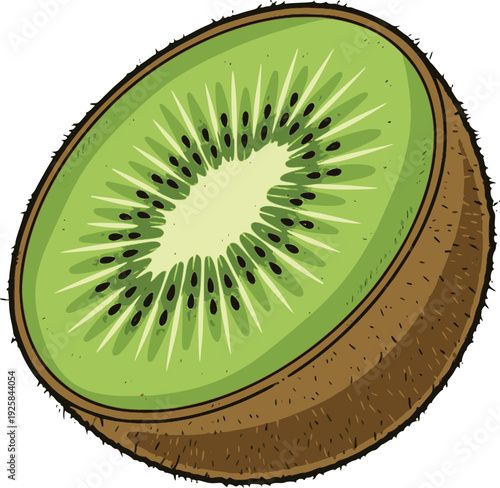 professional vector of a kiwi fruit cut in half with green pulp and black seeds hand drawn style simulating ink outlines and internal fills for healthy diet