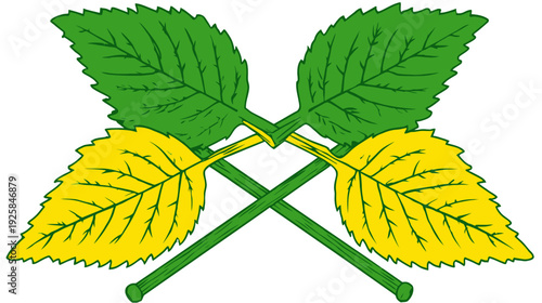 Illustration of crossed leaves in green and yellow, stems intersecting in the center