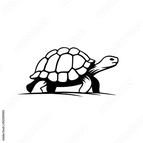 Galpagos Tortoise. Galpagos Tortoise simple black and white line art vector logo