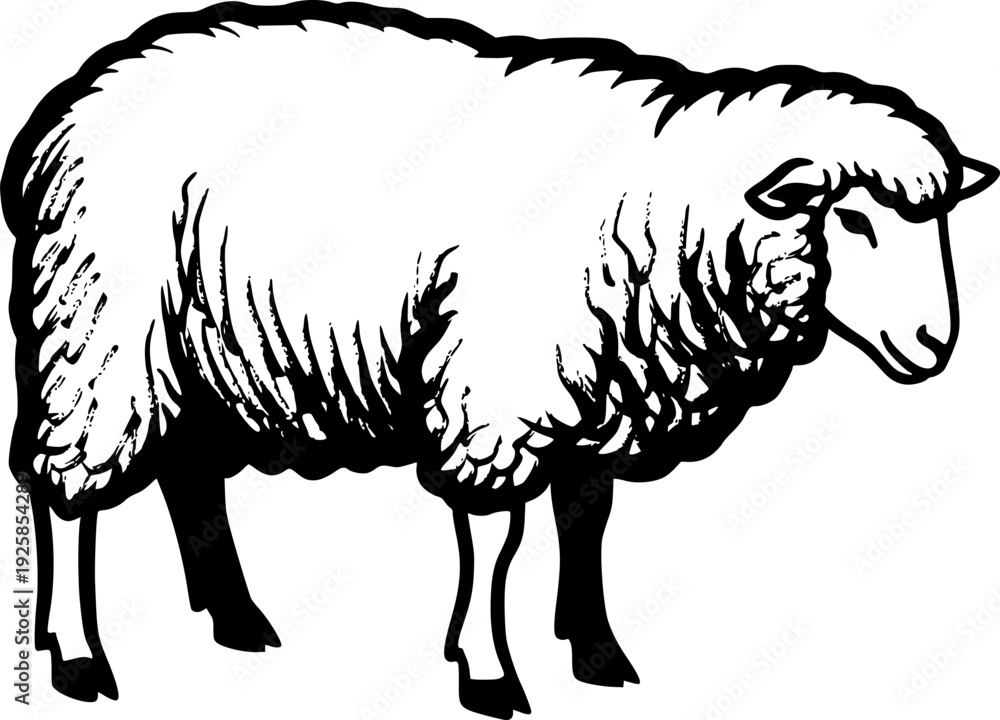 Obraz premium Artistic Sheep Illustration in Sumi-e Style for Design or Decora 