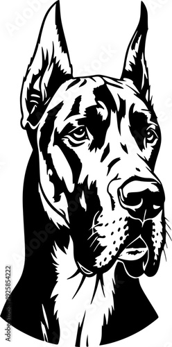 Elegant Great Dane Portrait in Minimalist Black and White Brushs
