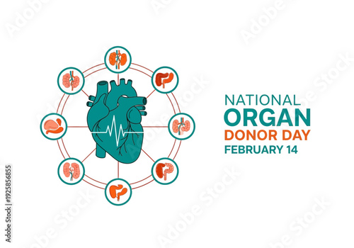 National organ donor day graphic with heart and surrounding organs