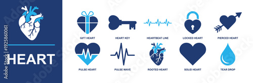 Heart icon set. Containing gift heart, heart key, heartbeat line, locked heart, pierced heart, pulse heart, pulse wave, rooted heart, solid heart, tear drop and more. Solid fill vector icons