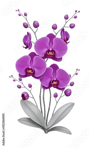 Elegant Purple Orchid Illustration on White Background
