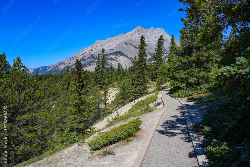 Fototapeta premium Hoodoos Trail in Banff National Park, Alberta, Canada