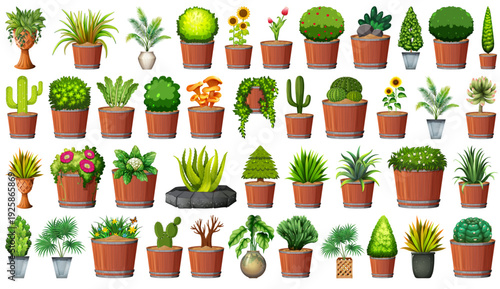 A fresh set of organic garden plants and herbs including basil and parsley grow in pots, featuring a nature-inspired collection of summer flowers, cacti, and vegetable seedlings isolated for garden