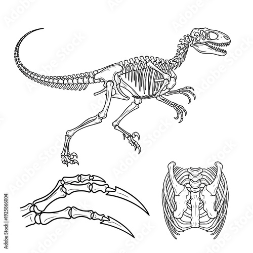 Dinosaur Skeleton with Skull and Tail Hand Drawn Art

