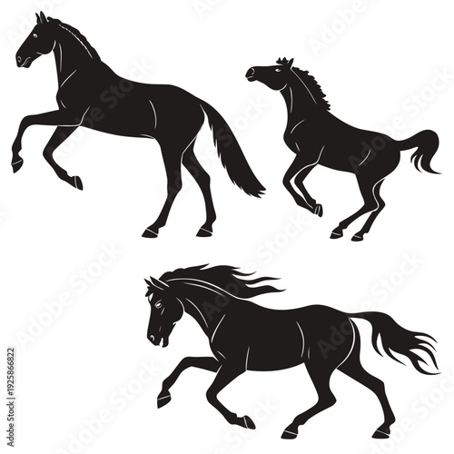 Dynamic collection of powerful horse silhouettes in majestic poses: rearing, trotting, and galloping for equestrian themes