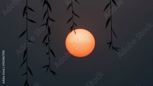 Still, Dark Water Reflecting a Geometrically Perfect Sphere of Orange Sunlight, Surrounded by Delicate Willow Branch Silhouettes