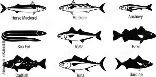 Collection of black fish species silhouettes, seafood icons including tuna mackerel and codfish, marine life vector set, isolated underwater animal graphic design elements