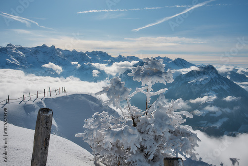Snowy alpine ridge with wooden posts above clouds, Stoos