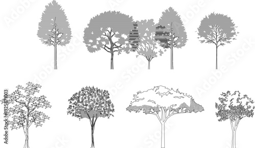Architectural landscape collection featuring various tree silhouettes and line art elevations, designed for professional urban planning and garden visualization projects.