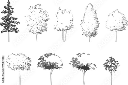 Architectural line art collection featuring various tree species in elevation view, ideal for landscape design, urban planning, and garden sketches.