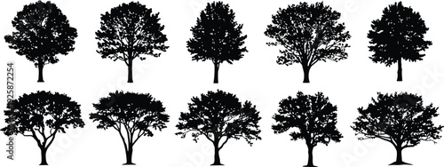 Diverse tree silhouette vector set icon