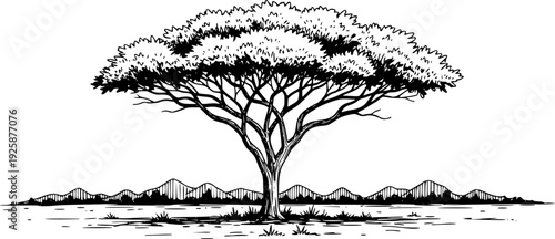 Minimalist Ink Drawing of an African Acacia Tree Landscape in Ci

