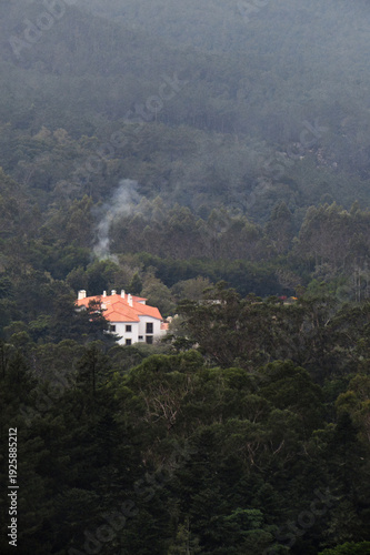 Isolated house with red roof surrounded by misty forest in Sintra mountains. 