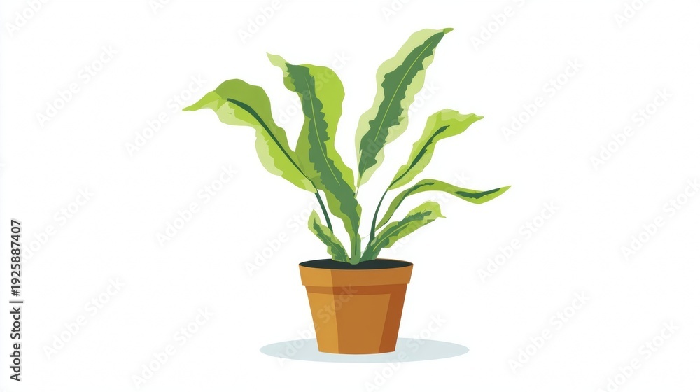 Fototapeta premium A potted plant with green leaves.
