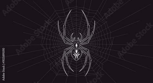 Stylized white spider with intricate details on a delicate spiderweb against a dark background.