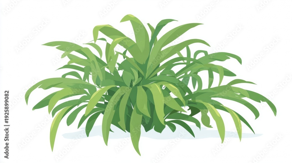 Obraz premium Green plant with long leaves on white background.