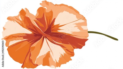 Vibrant Orange Poppy Flower Illustration on White Background.