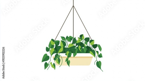 Hanging Pothos Plant in Cream Colored Pot.
