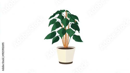 Potted plant with green leaves in a white pot.