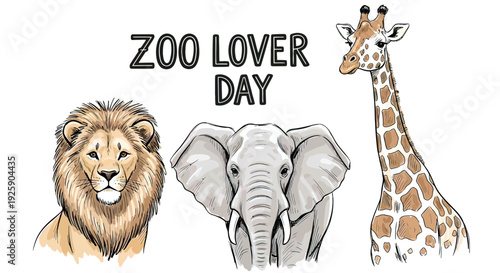 Lion Elephant Giraffe Illustration Zoo Animals 1.