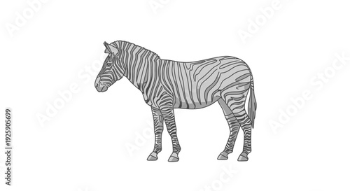 Detailed illustration of a zebra standing gracefully.