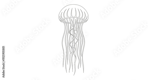 Detailed Line Art Drawing of a Graceful Jellyfish.