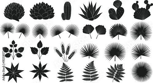 Botanical plant silhouettes set, tropical leaves cactus fern and palm shapes, black nature icons collection, vector illustration isolated design elements