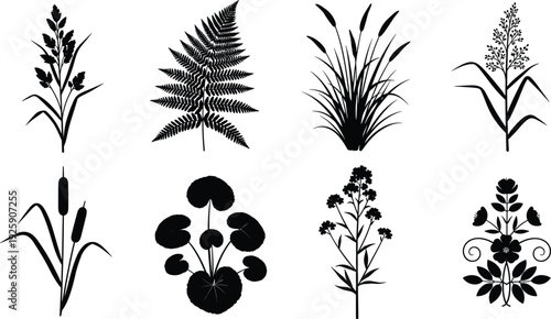 Botanical plant silhouette collection featuring fern reeds wildflowers leaves, elegant nature elements set isolated vector illustration for design projects