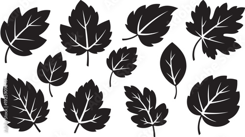 Collection of black leaf silhouettes on white background illustration