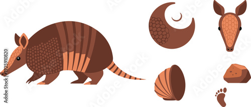 Cute Armadillo Character Vector Illustration Set with Brown Shell Walking Profile View Head and Footprint Icons for Wild Animal Design
