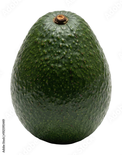 Avocado harvesting techniques farm educational guide isolated on transparent background