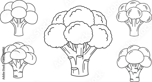 Broccoli Outline Vector Illustration Set with Multiple Styles Isolated on White Background for Coloring Book, Healthy Food, and Nutrition Design