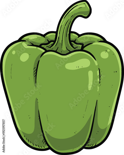 hand drawn style green bell pepper vector illustration with black fills simulating thick outlines and internal color fills for a clean organic vegetable look