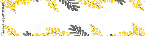 Seamless mimosa floral border pattern