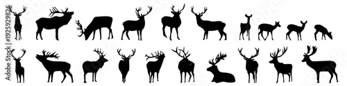 A collection of black deer silhouettes on a white background