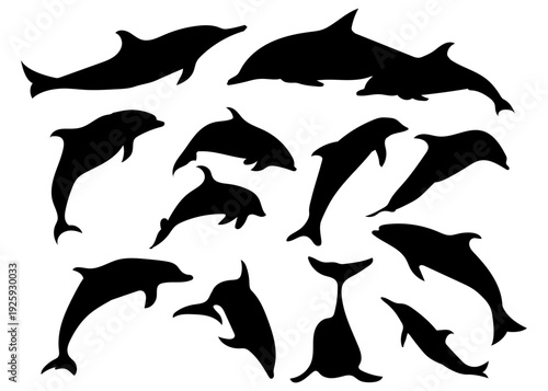 A group of black dolphin silhouettes swimming together in various poses