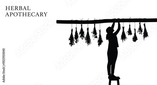 Herbal apothecary silhouette vector