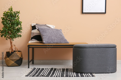Pouf and bench with pillows...